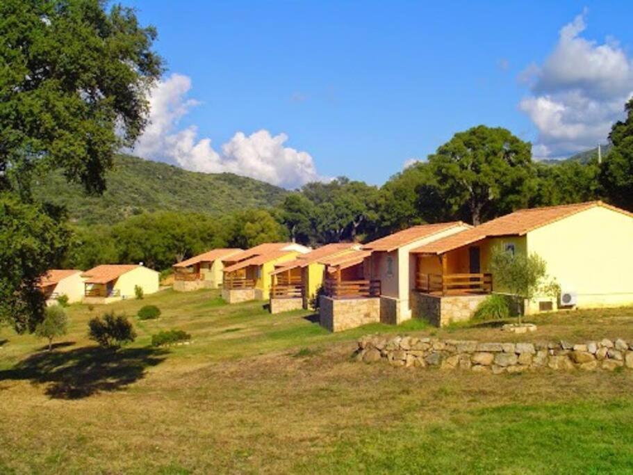 Maison Au Calme Avec Piscine Et Climatisation Sollacaro Extérieur photo