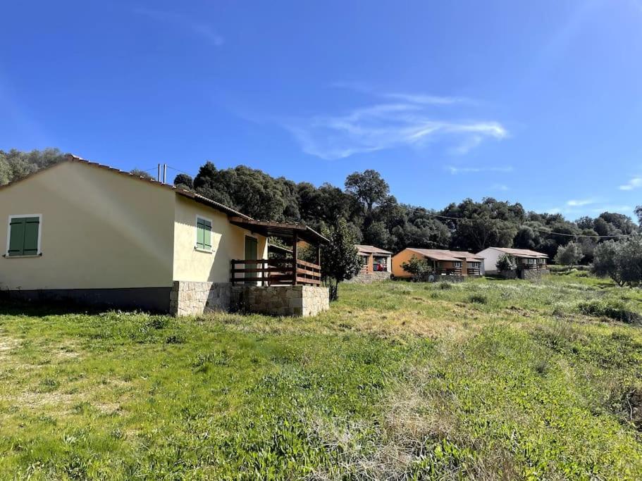 Maison Au Calme Avec Piscine Et Climatisation Sollacaro Extérieur photo